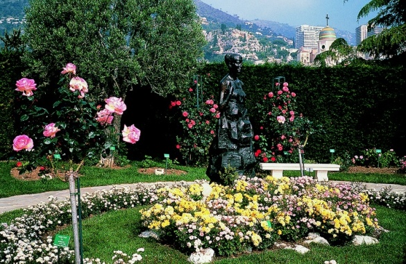 Princess Grace Rose Gardens, Monaco